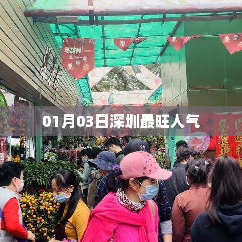 深圳人氣爆棚，最新人氣榜單揭曉