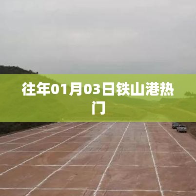 鐵山港元旦后熱度概覽，歷年一月初的熱門事件回顧