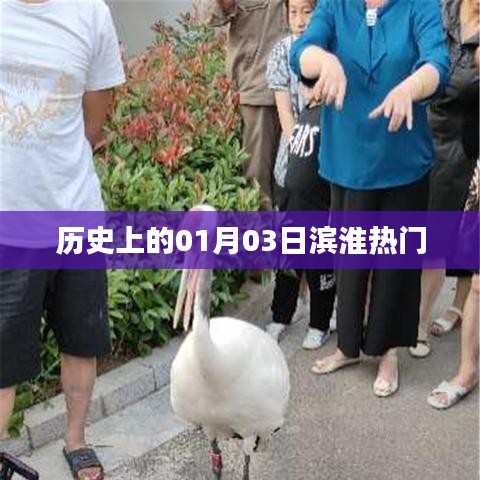 濱淮熱門事件回顧，歷史上的1月3日