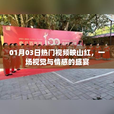 映山紅視覺盛宴，情感交織的熱門視頻