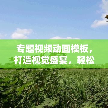專題視頻動畫模板，打造視覺盛宴，輕松吸引眼球！