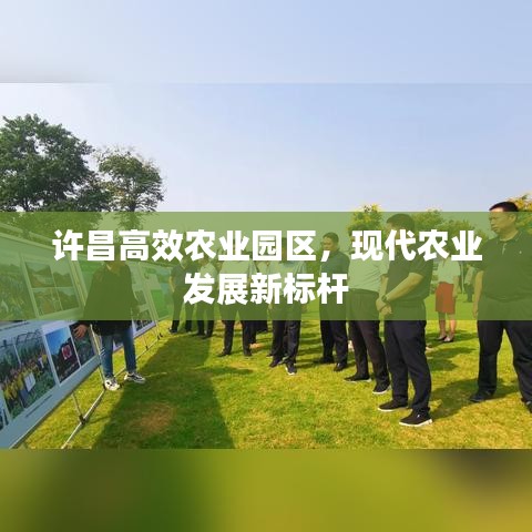 許昌高效農(nóng)業(yè)園區(qū)，現(xiàn)代農(nóng)業(yè)發(fā)展新標(biāo)桿