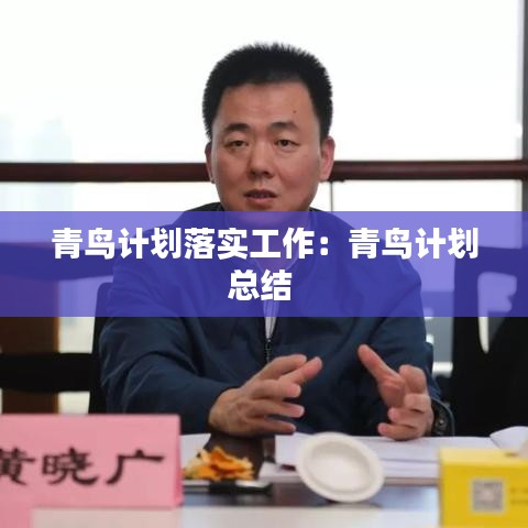 青鳥計劃落實工作：青鳥計劃總結(jié) 