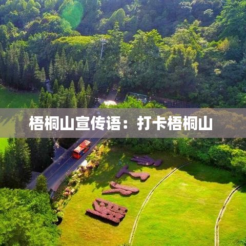 梧桐山宣傳語：打卡梧桐山 
