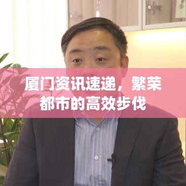 廈門資訊速遞，繁榮都市的高效步伐