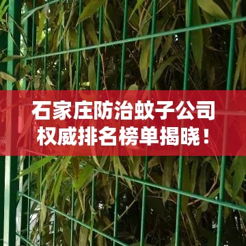 石家莊防治蚊子公司權(quán)威排名榜單揭曉！