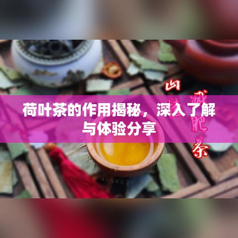 荷葉茶的作用揭秘，深入了解與體驗分享