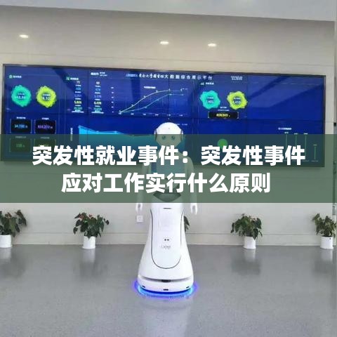 突發(fā)性就業(yè)事件：突發(fā)性事件應(yīng)對(duì)工作實(shí)行什么原則 