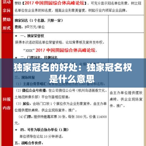 獨(dú)家冠名的好處：獨(dú)家冠名權(quán)是什么意思 