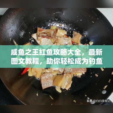 咸魚(yú)之王紅魚(yú)攻略大全，最新圖文教程，助你輕松成為釣魚(yú)達(dá)人！
