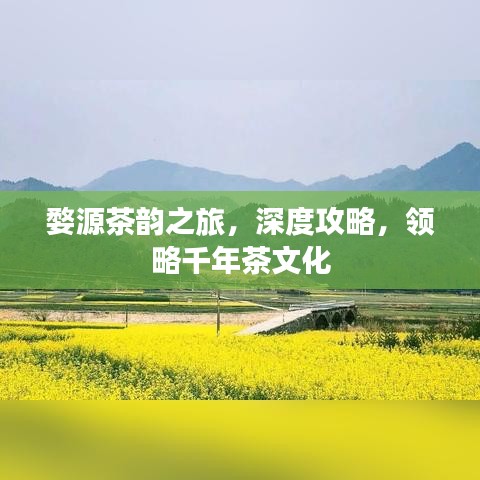 婺源茶韻之旅，深度攻略，領(lǐng)略千年茶文化