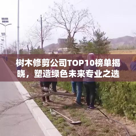 樹木修剪公司TOP10榜單揭曉，塑造綠色未來專業(yè)之選