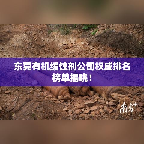 東莞有機(jī)緩蝕劑公司權(quán)威排名榜單揭曉！