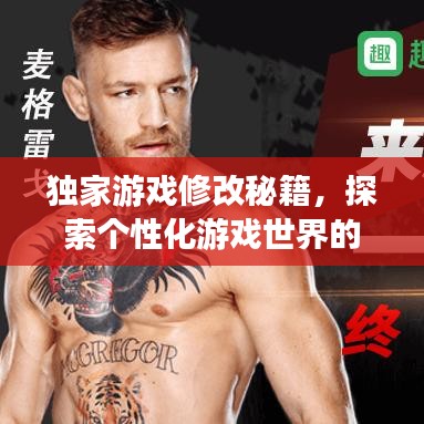 獨(dú)家游戲修改秘籍，探索個(gè)性化游戲世界的無限奧秘