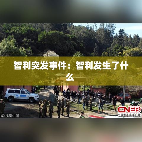 智利突發(fā)事件：智利發(fā)生了什么 