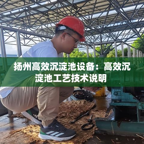 揚州高效沉淀池設(shè)備：高效沉淀池工藝技術(shù)說明 