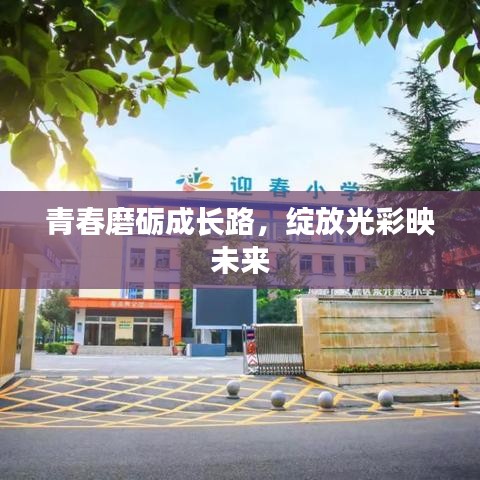 青春磨礪成長路，綻放光彩映未來