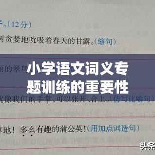 小學(xué)語文詞義專題訓(xùn)練的重要性與策略解析