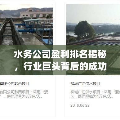 水務(wù)公司盈利排名揭秘，行業(yè)巨頭背后的成功秘訣大揭秘！