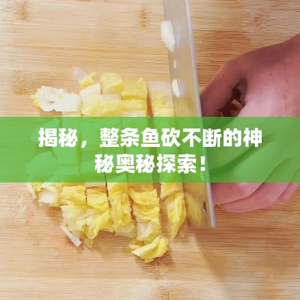 揭秘，整條魚(yú)砍不斷的神秘奧秘探索！
