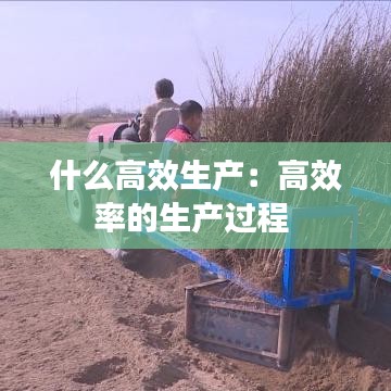 什么高效生產(chǎn)：高效率的生產(chǎn)過(guò)程 