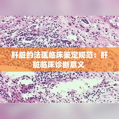 肝臟的法醫(yī)臨床鑒定規(guī)范：肝臟臨床診斷意義 