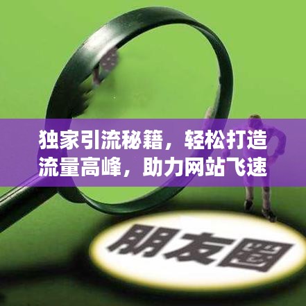 獨家引流秘籍，輕松打造流量高峰，助力網(wǎng)站飛速增長！