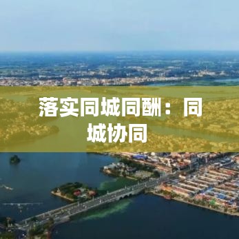 落實(shí)同城同酬：同城協(xié)同 