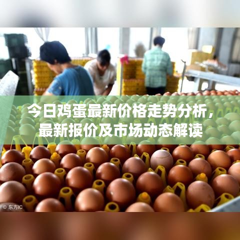 今日雞蛋最新價(jià)格走勢(shì)分析，最新報(bào)價(jià)及市場(chǎng)動(dòng)態(tài)解讀