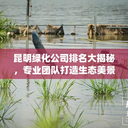 昆明綠化公司排名大揭秘，專業(yè)團隊打造生態(tài)美景，優(yōu)質(zhì)企業(yè)榜單揭曉！