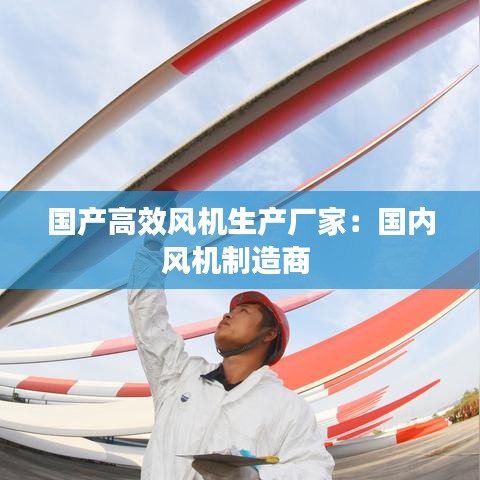 國產(chǎn)高效風(fēng)機(jī)生產(chǎn)廠家：國內(nèi)風(fēng)機(jī)制造商 
