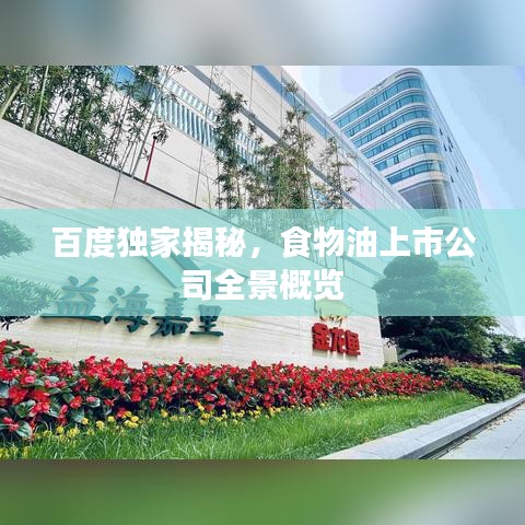 百度獨(dú)家揭秘，食物油上市公司全景概覽