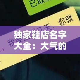 獨家鞋店名字大全：大氣的鞋店名字 