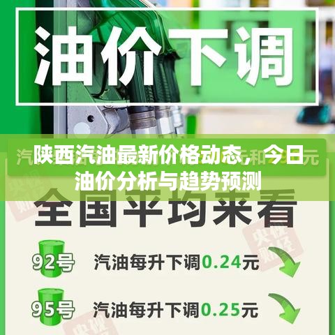 陜西汽油最新價格動態(tài)，今日油價分析與趨勢預測
