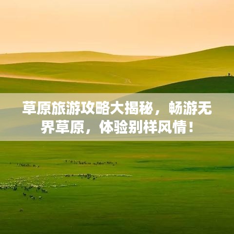 草原旅游攻略大揭秘，暢游無界草原，體驗別樣風(fēng)情！