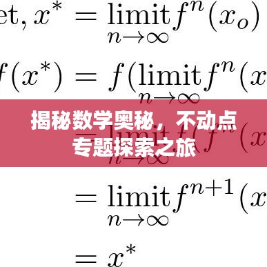 揭秘?cái)?shù)學(xué)奧秘，不動(dòng)點(diǎn)專題探索之旅