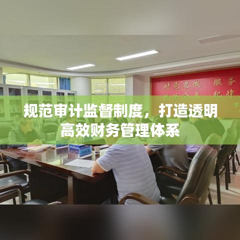 規(guī)范審計(jì)監(jiān)督制度，打造透明高效財(cái)務(wù)管理體系