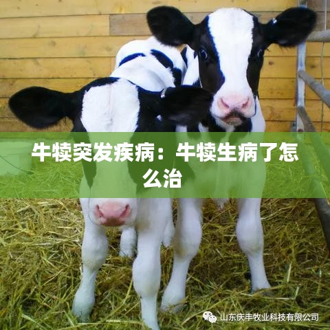牛犢突發(fā)疾?。号偕×嗽趺粗?