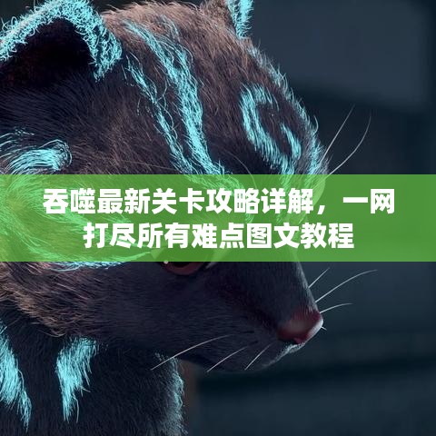 吞噬最新關(guān)卡攻略詳解，一網(wǎng)打盡所有難點圖文教程