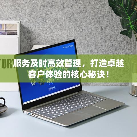 服務(wù)及時高效管理，打造卓越客戶體驗的核心秘訣！