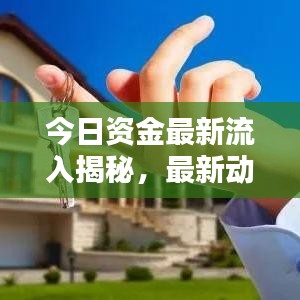 今日資金最新流入揭秘，最新動態(tài)一網(wǎng)打盡