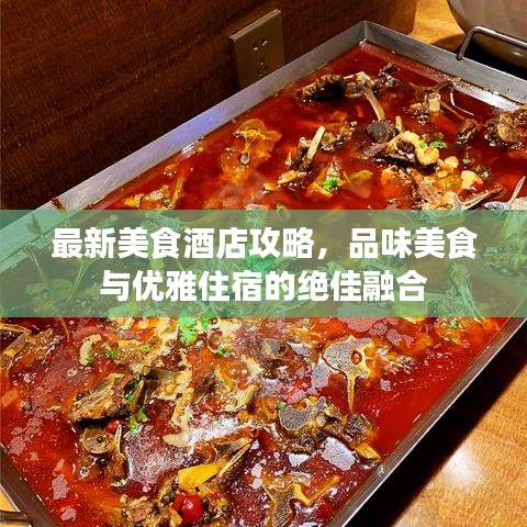 最新美食酒店攻略，品味美食與優(yōu)雅住宿的絕佳融合