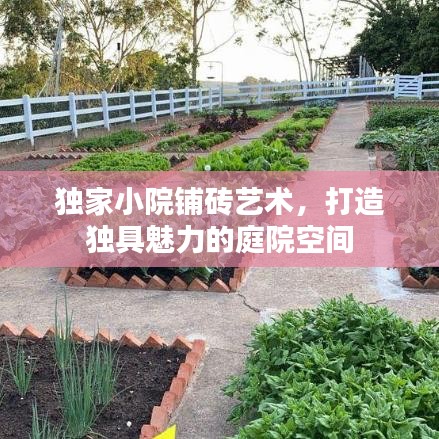 獨家小院鋪磚藝術，打造獨具魅力的庭院空間