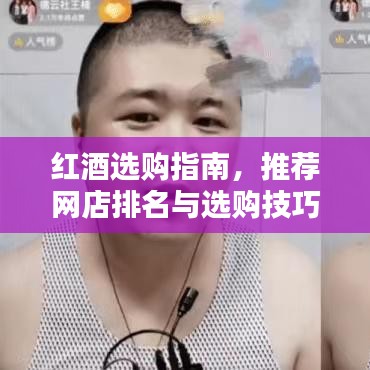紅酒選購(gòu)指南，推薦網(wǎng)店排名與選購(gòu)技巧，帶你領(lǐng)略中國(guó)十大網(wǎng)店的紅酒世界