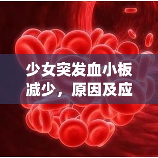 少女突發(fā)血小板減少，原因及應(yīng)對方法解析