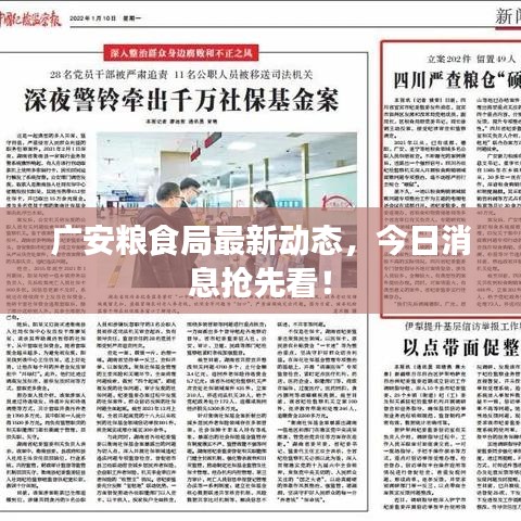 廣安糧食局最新動態(tài)，今日消息搶先看！