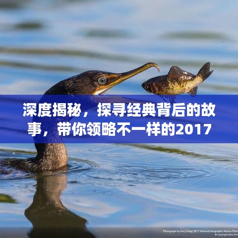 深度揭秘，探尋經(jīng)典背后的故事，帶你領(lǐng)略不一樣的2017年