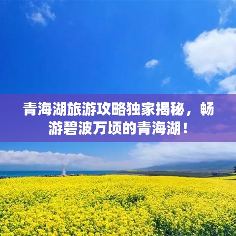 青海湖旅游攻略獨(dú)家揭秘，暢游碧波萬頃的青海湖！