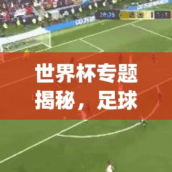 世界杯專題揭秘，足球盛宴背后的故事與傳奇之旅