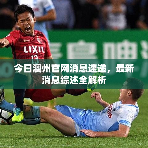 今日澳州官網(wǎng)消息速遞，最新消息綜述全解析